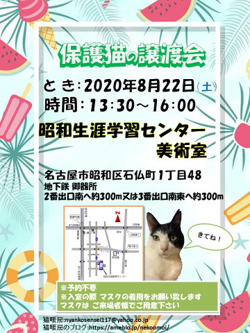 保護猫の譲渡会