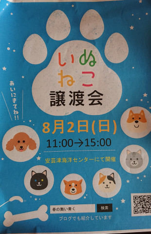 犬猫譲渡会