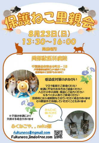 千葉県柏市開催/  ふくねこや。。