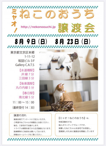 ミャオ！ねこのおうち譲渡会