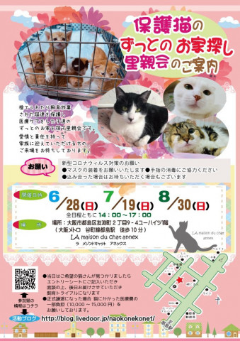 『保護猫のずっとのお家探し里親会』