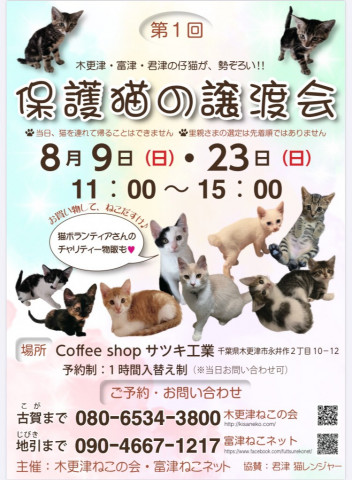 保護猫の譲渡会