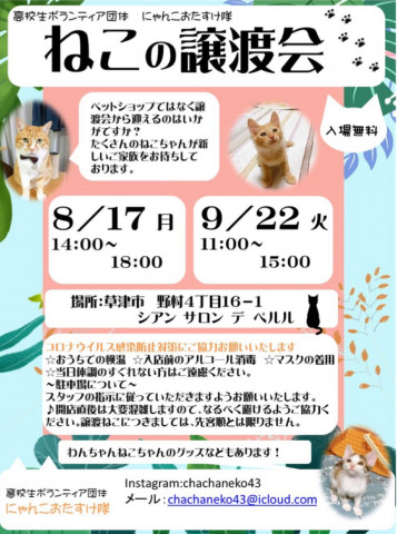 ねこの譲渡会