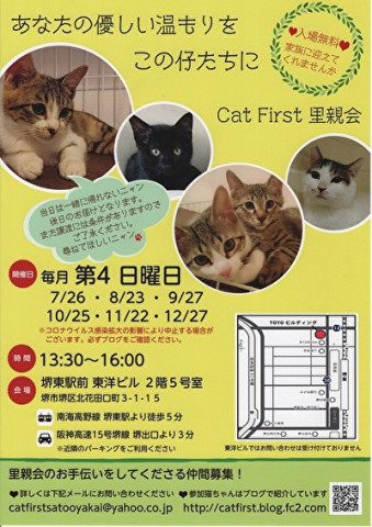 Cat F irst 里親会