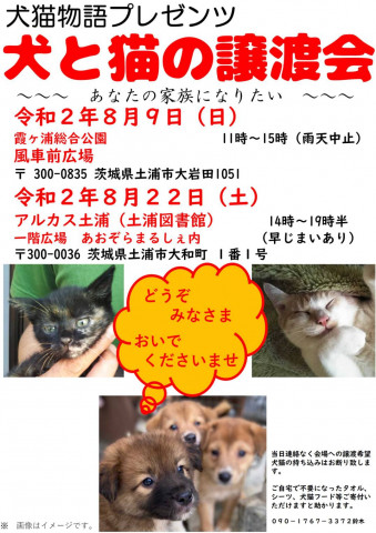 犬と猫の譲渡会