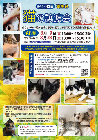 弥生台　猫の譲渡会