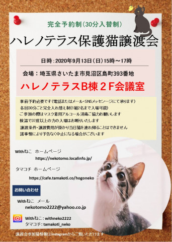 【完全予約制】9/13（日）ハレノテラス保護猫譲渡会