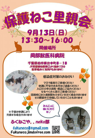 千葉県柏市開催/  ふくねこや。。