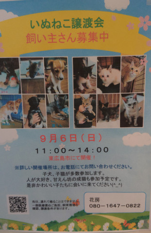 犬猫譲渡会