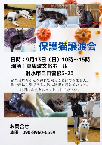 保護猫譲渡会(富山)