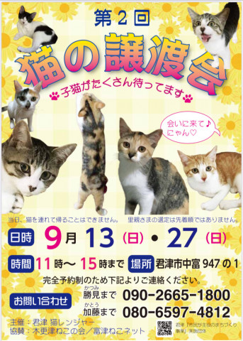 猫の譲渡会