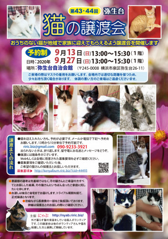 弥生台　猫の譲渡会