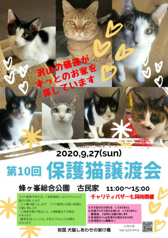 第１０回保護猫譲渡会in山口県