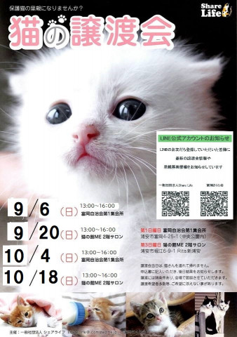 浦安ねこの譲渡会