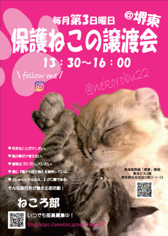 開催します❗️「保護ねこの譲渡会」 - 猫の譲渡会掲示板 - ネコジルシ