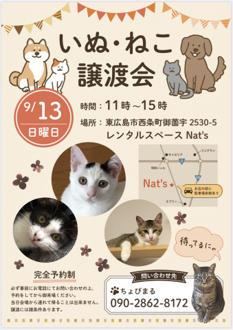 犬猫譲渡会