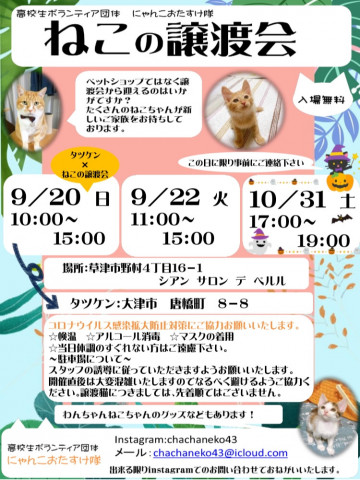 ねこの譲渡会