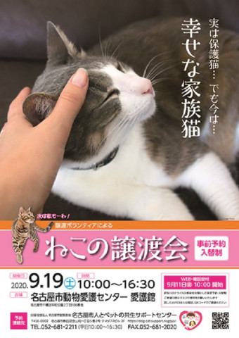 名古屋市動物愛護センター　譲渡ボランティアによる猫の譲渡会