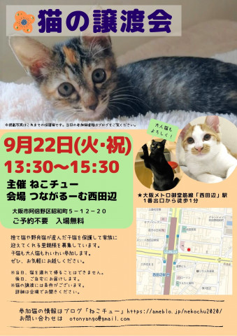 ねこチュー　第3回猫の譲渡会