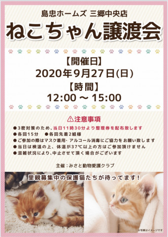 三郷市(⑉•ェ•⑉)保護猫 譲渡会