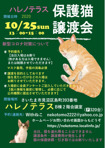 10/25（日）ハレノテラス保護猫譲渡会