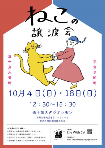 ＊予約制＊第３９回ねこの譲渡会＠千葉県千葉市