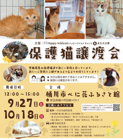 保護猫譲渡会☆樋川市べに花ふるさと館