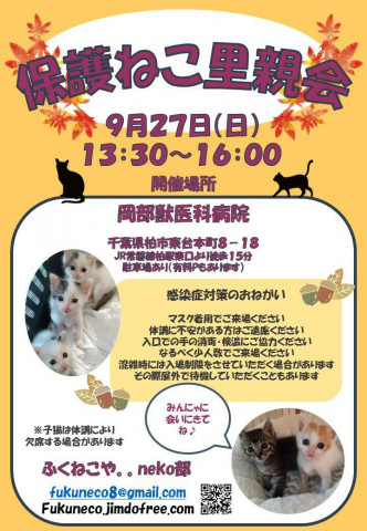 千葉県柏市開催/  ふくねこや。。