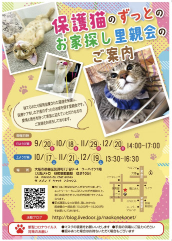 『保護猫のずっとのお家探し里親会』