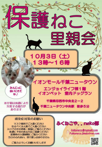 千葉県印西市開催/  ふくねこや。。