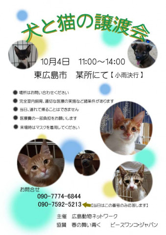 犬猫譲渡会