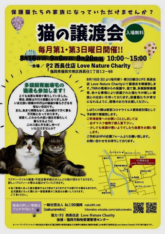 ねこ99福岡✖️[sakuraneko] - 猫の譲渡会掲示板 - ネコジルシ