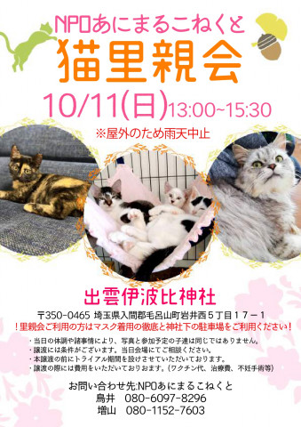 猫里親会