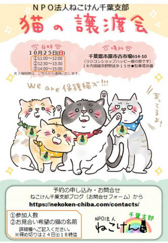 ねこけん千葉支部　譲渡会