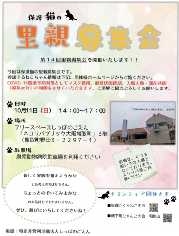 保護猫の里親募集会　in 大阪府泉南郡熊取町