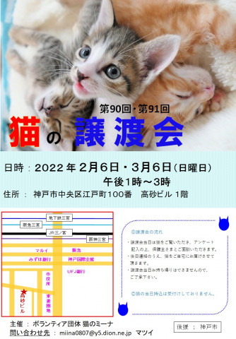猫の譲渡会ｉｎ 芦屋 - 猫の譲渡会掲示板 - ネコジルシ