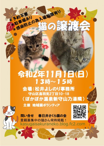 猫の譲渡会