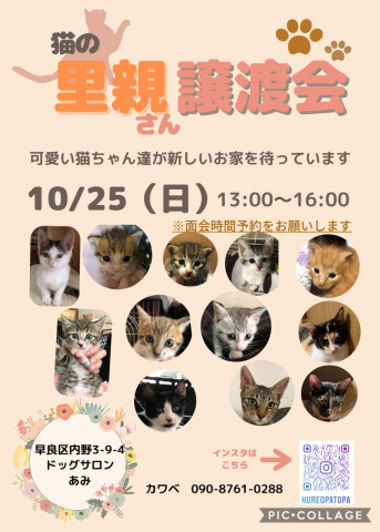 10月25日里親譲渡会