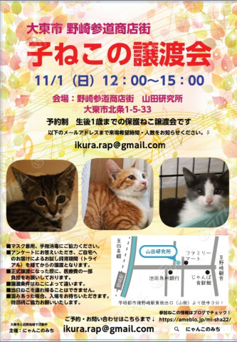 【野崎参道商店街】臨時　子猫の里親会