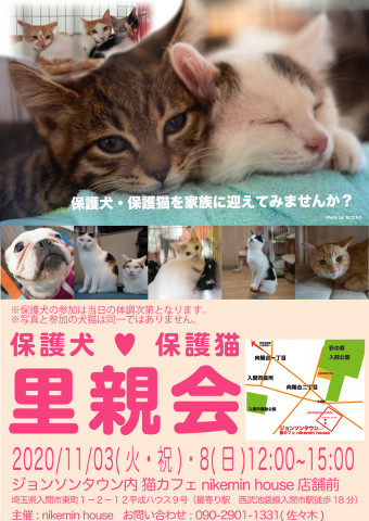 入間市ジョンソンタウン猫の里親会