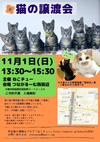 ねこチュー　第4回猫の譲渡会