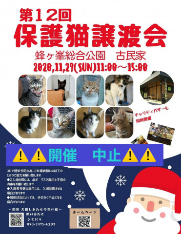 ⚠️開催中止⚠️　第１２回保護猫譲渡会in山口県