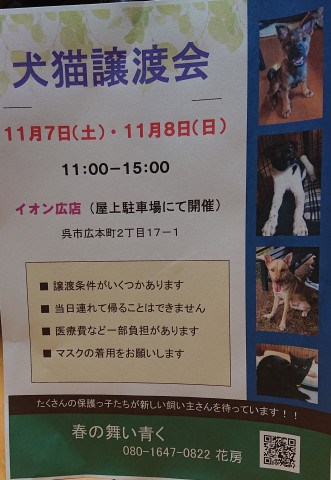 犬猫譲渡会