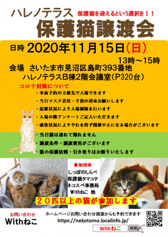 １１/１５(日)ハレノテラス保護猫譲渡会