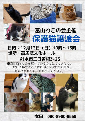 保護猫譲渡会