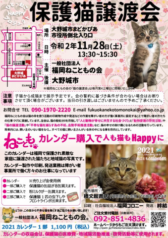 福岡ねこともの会保護猫譲渡会