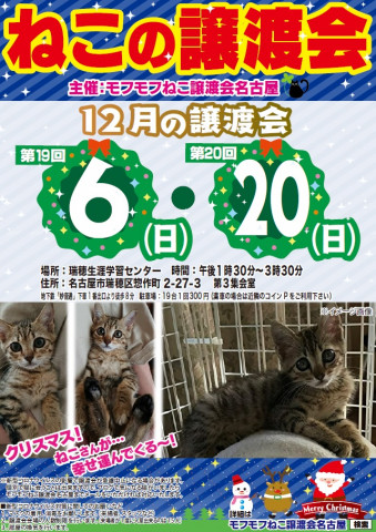 猫の譲渡会　in　名古屋市瑞穂区生涯学習センター