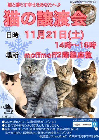 保護猫カフェで譲渡会！