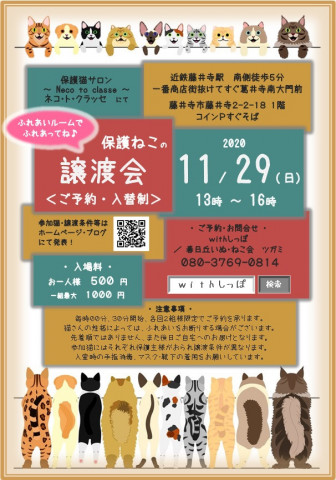 予約制藤井寺市ほご猫譲渡会