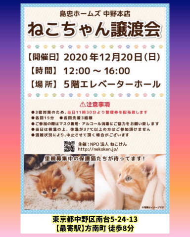 [島忠中野本店]ねこけん譲渡会